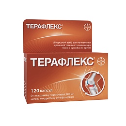 ТЕРАФЛЕКС капс. 120